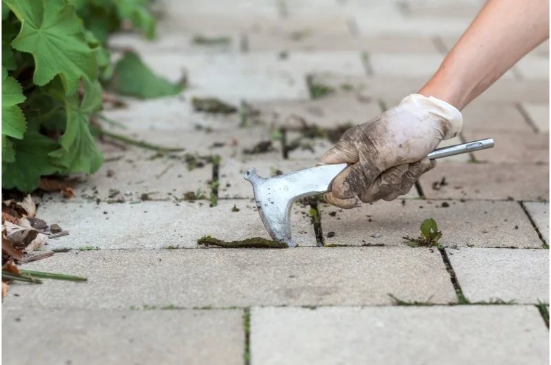 FKH térkő burkolat – saját kivitelezésű munka, 4. kép